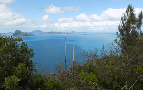Whitsundays from Passage Peak
